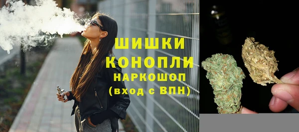 сатива Абдулино