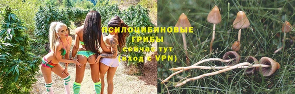 PSILOCYBIN Абинск