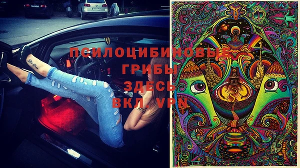 PSILOCYBIN Абинск