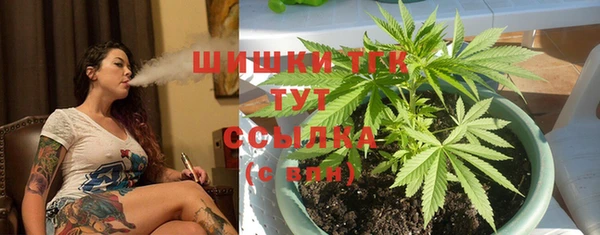 сатива Абдулино