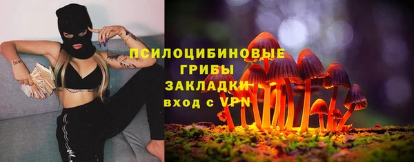 сатива Абдулино