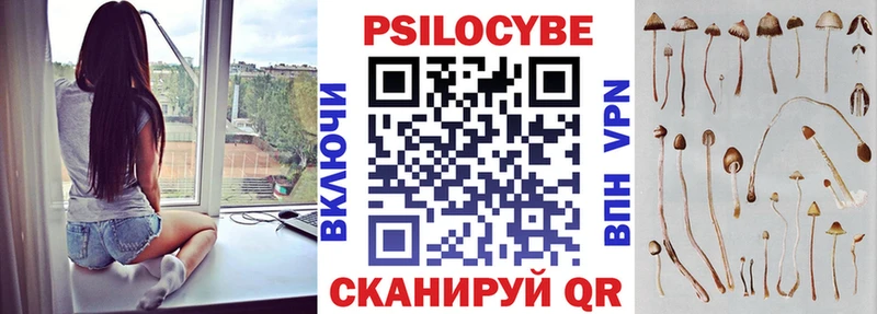 Галлюциногенные грибы Psilocybe  Заринск 