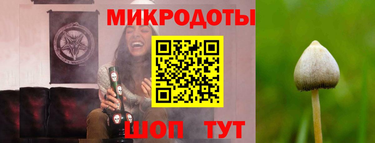 Заринск  Псилоцибиновые грибы мухоморы  Вход с VPN 