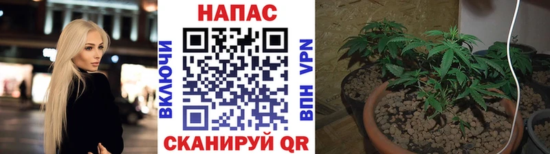 закладка  omg ссылки  МАРИХУАНА MAZAR  Заринск 